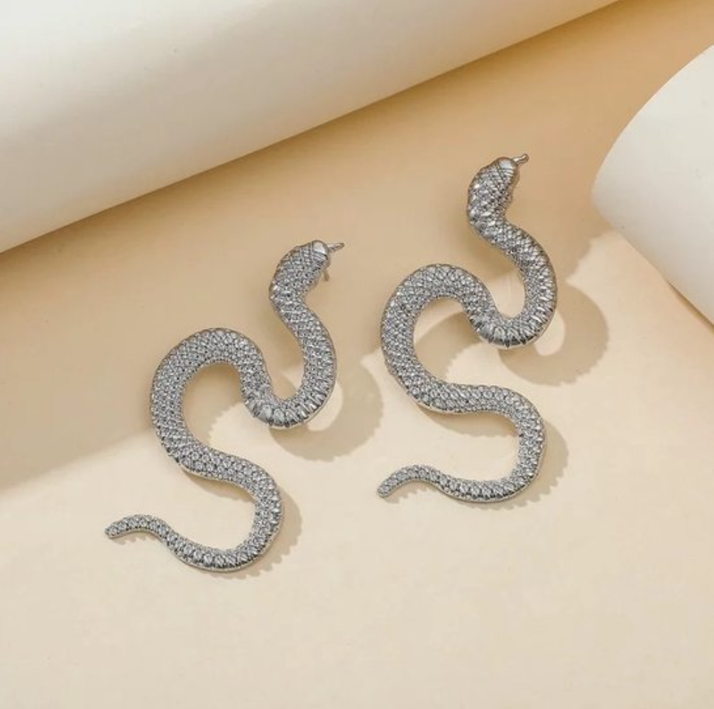 Oorbellen slang zilver